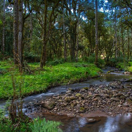 Vila Refugio Tres Catarinas Urubici Exteriér fotografie