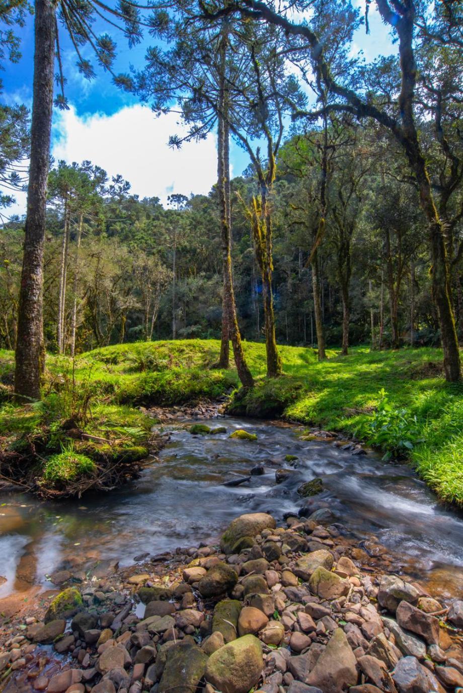 Vila Refugio Tres Catarinas Urubici Exteriér fotografie
