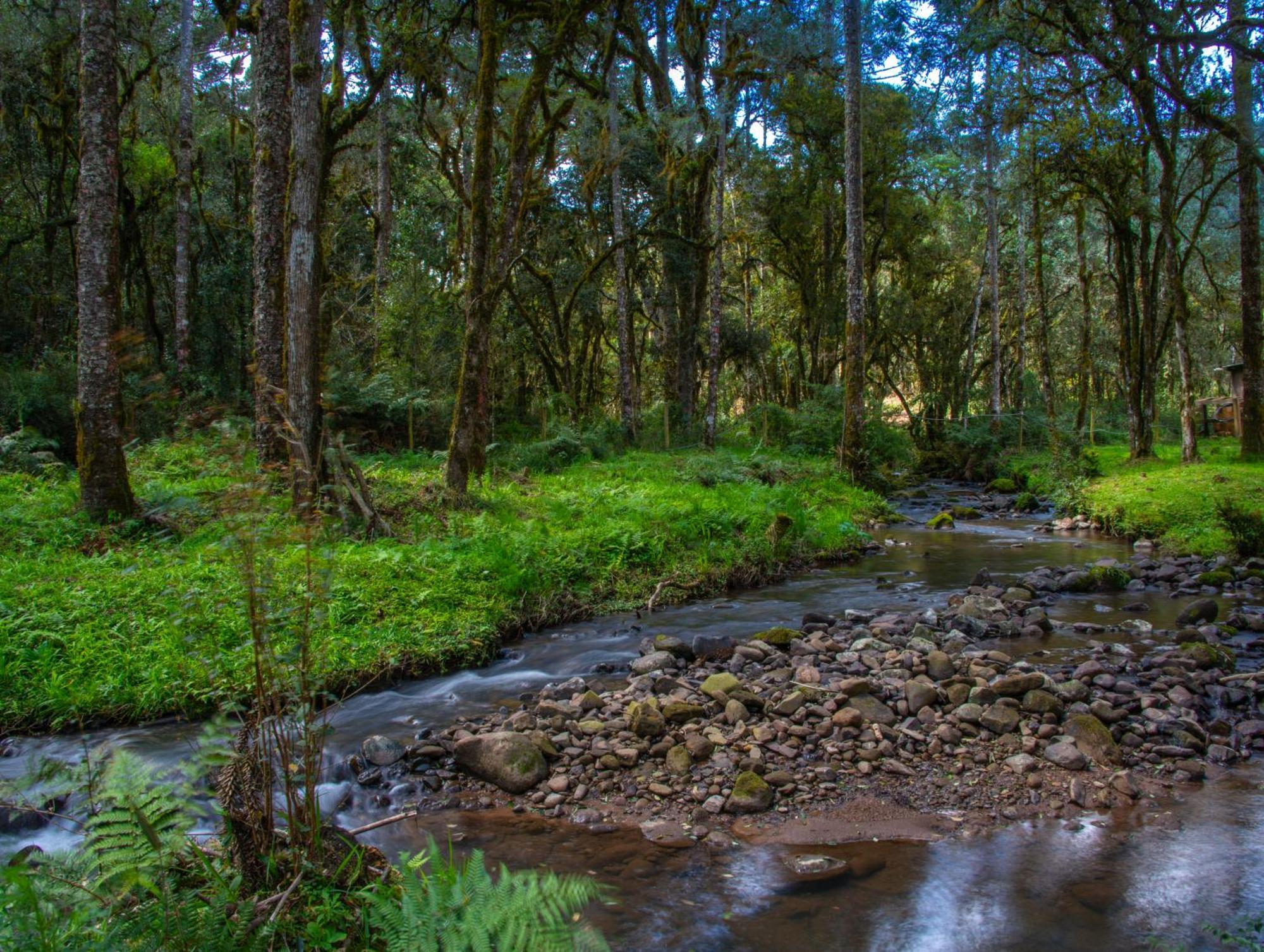 Vila Refugio Tres Catarinas Urubici Exteriér fotografie